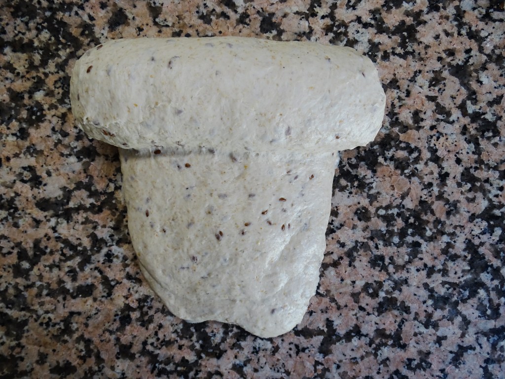 Pan masa madre formado