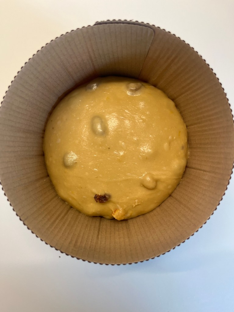 Panetone casero Panetone en molde antes de fermentar