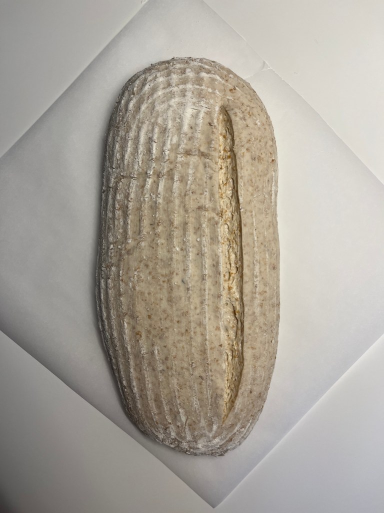 pan alargado greñado